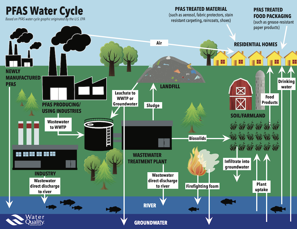 PFAS y el ciclo del agua